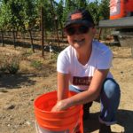 Donna Crushing Grapes for Testing