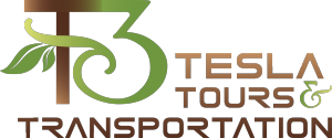 T3 Tesla Tours