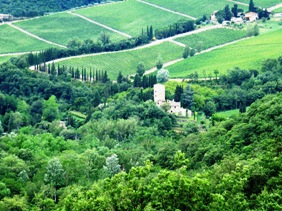 Tuscan Dreaming